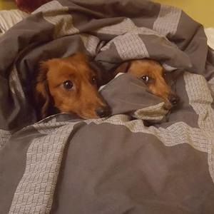 Meet your Posher, Nikki